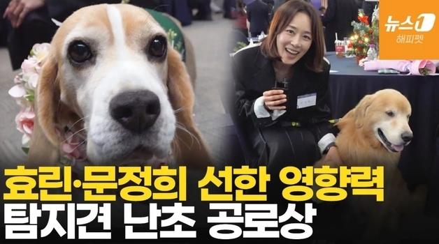 "상 받고 발도장 찍었개"…훈훈했던 '반려동물 문화대상' 현장