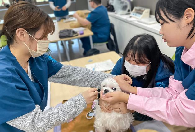 영진전문대 동물보건과, 동물보건사 '3년 완전인증' 획득