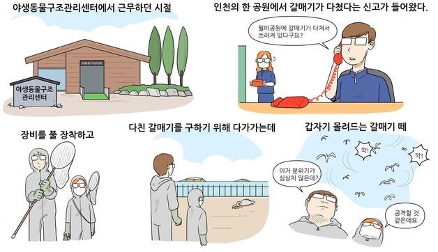 다친 갈매기 구조하던 수의사 머리 위로 떨어진 것은[해피펫툰]