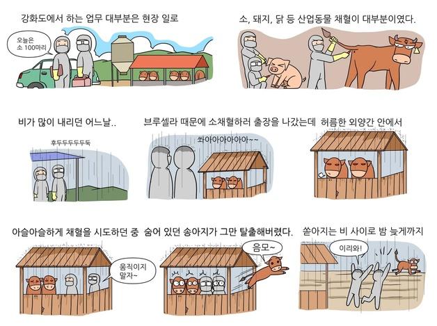 영리한 개만 집 찾아온다?…"탈출한 소도 혼자 집으로"[해피펫툰]